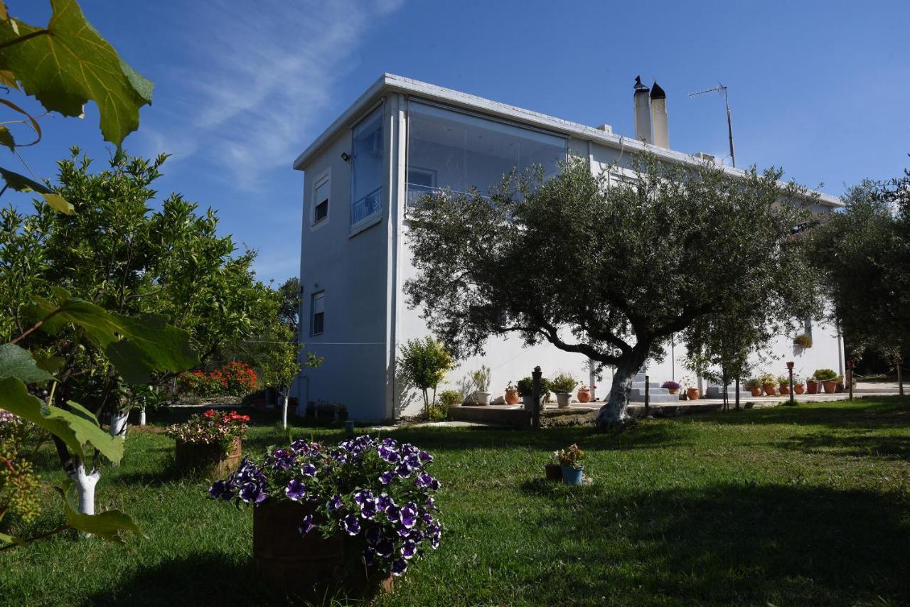Mina Apartments Zacharo Exterior foto